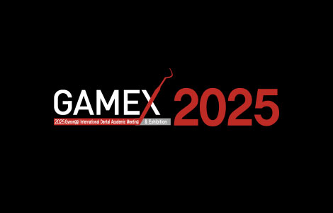 gamex color system logo-01