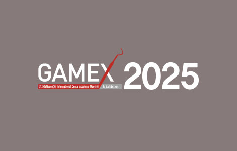 gamex color system logo-01